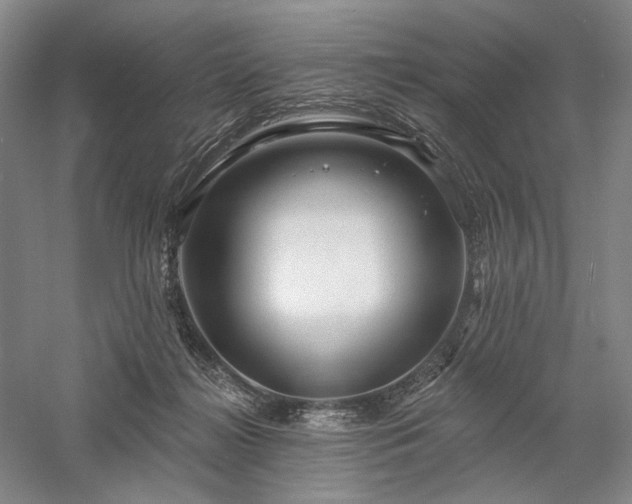 X0000058120268200509231100