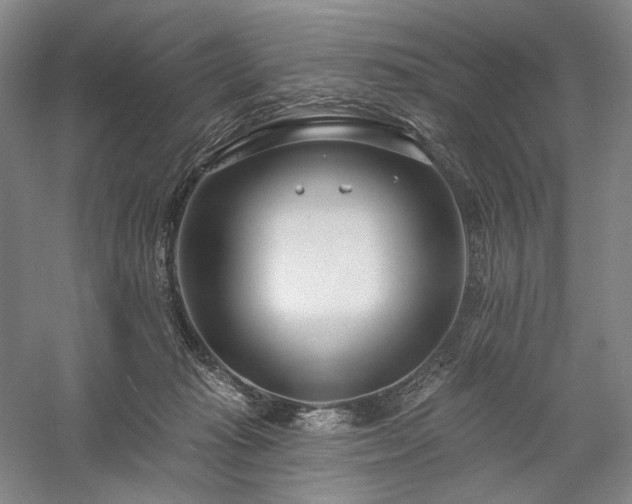 X0000058120269200509231100