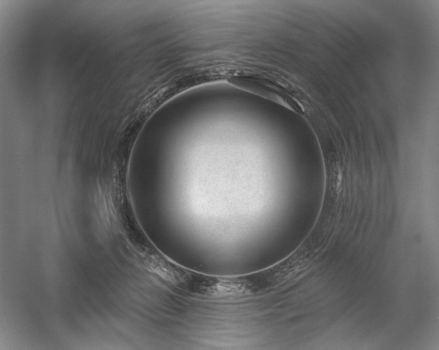X0000058120270200509231100