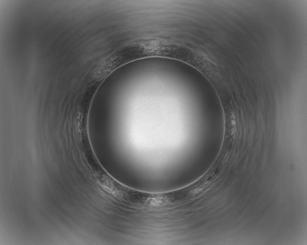 X0000058120275200509231100