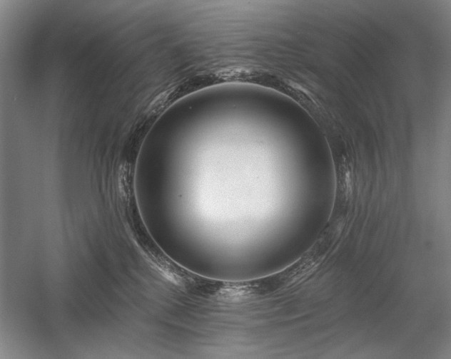 X0000058120280200509231100
