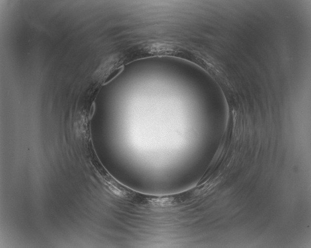 X0000058120281200509231100