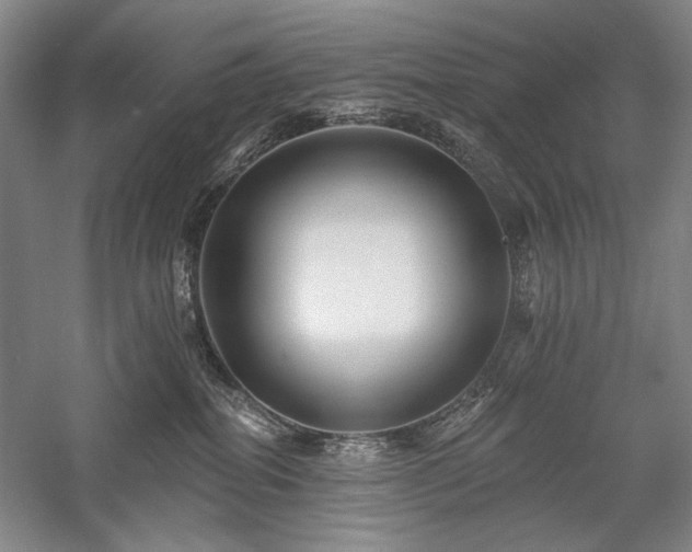 X0000058120282200509231100
