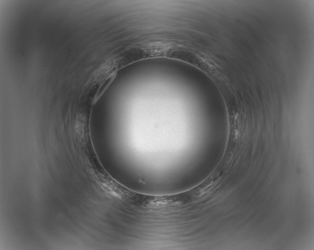 X0000058120283200509231100