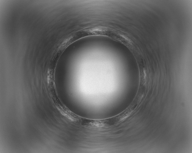 X0000058120284200509231100