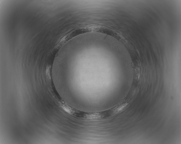 X0000058120286200509231100