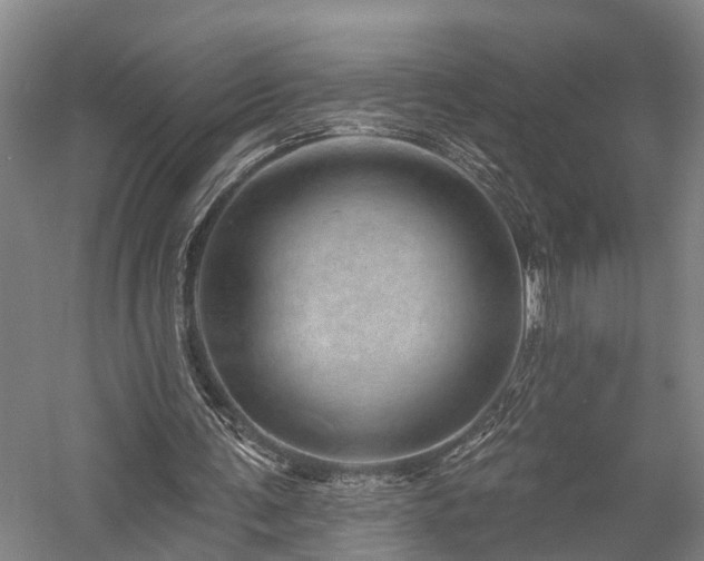 X0000058120291200509231059