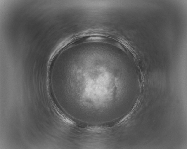 X0000058120293200509231059