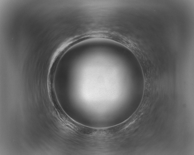 X0000058120294200509231059