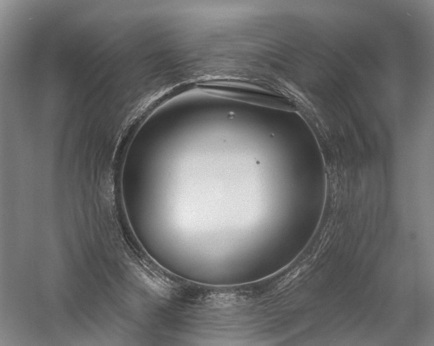 X0000058120298200509231059