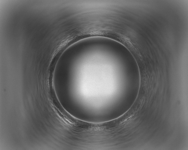 X0000058120299200509231059