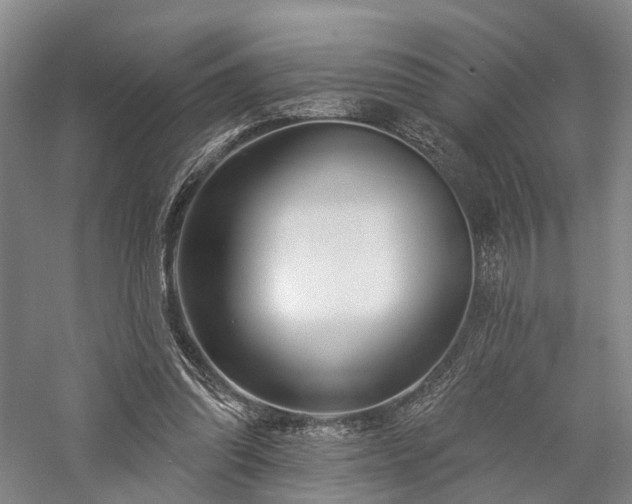 X0000058120302200509231059