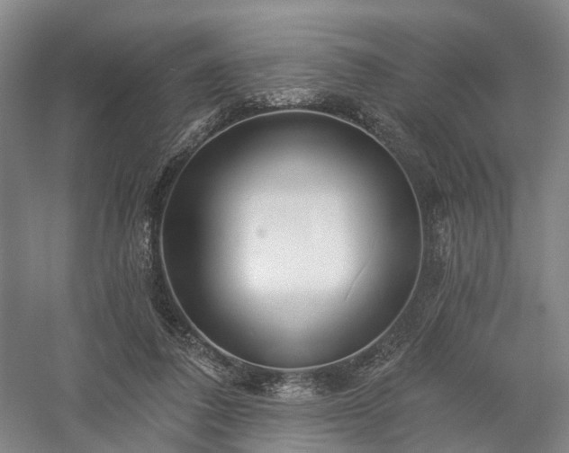 X0000058120308200509231059