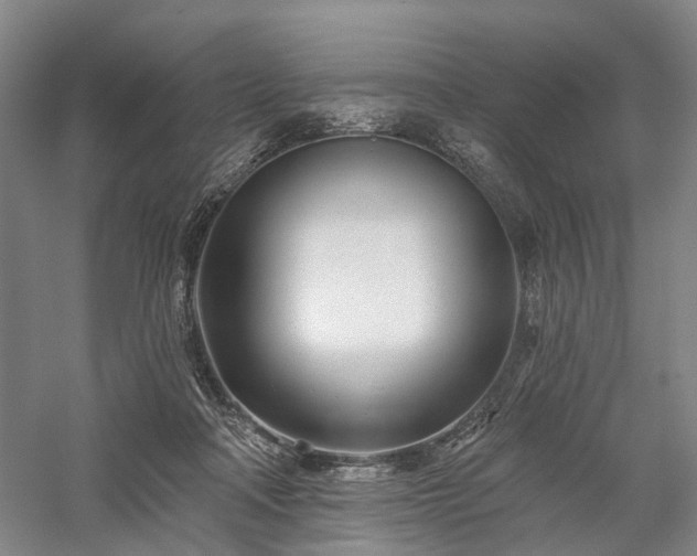 X0000058120314200509231059