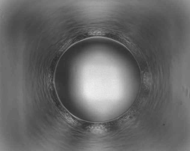 X0000058120322200509231059