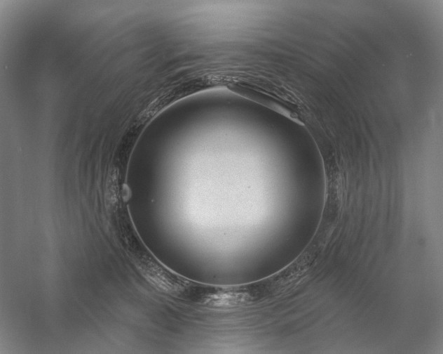 X0000058120323200509231059