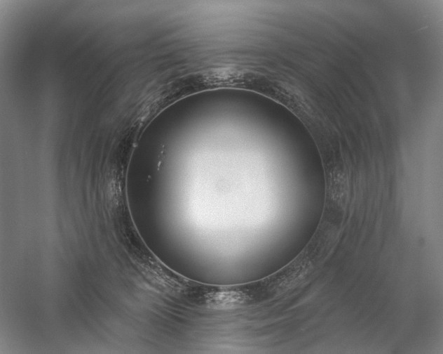 X0000058120324200509231059