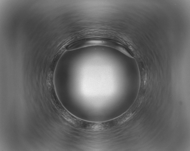 X0000058120325200509231059
