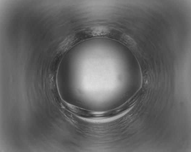 X0000058120327200509231059
