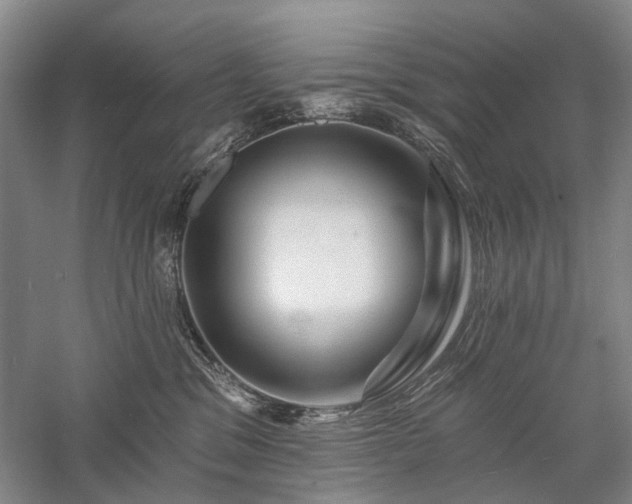 X0000058120329200509231059