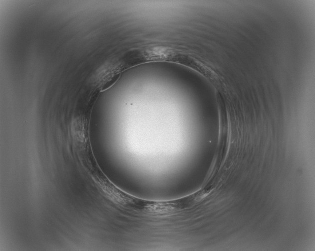 X0000058120331200509231059