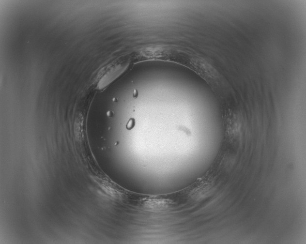X0000058120332200509231059