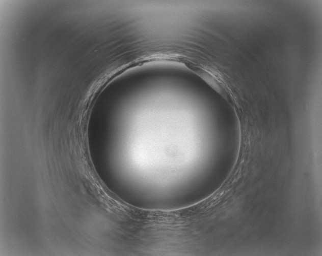X0000058120337200509231058