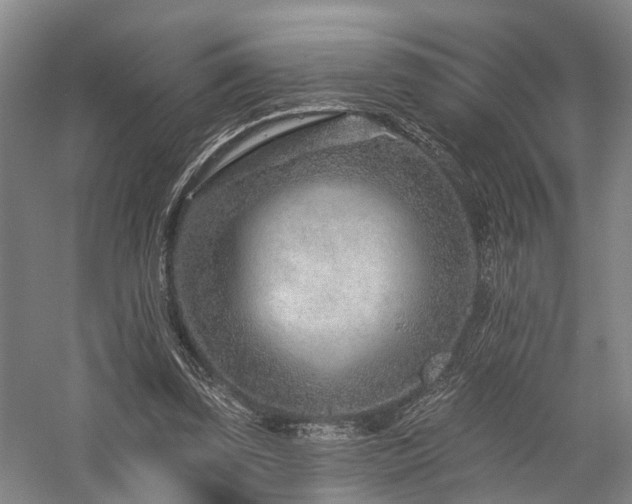 X0000058120347200509231058