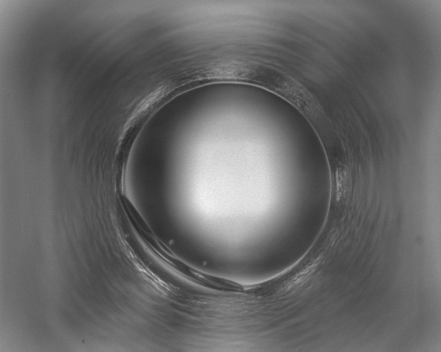 X0000058120349200509231058