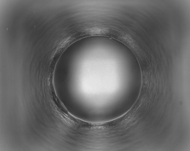 X0000058120357200509231058
