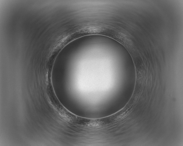 X0000058120358200509231058