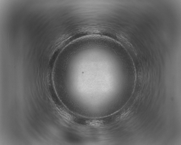 X0000058120359200509231058