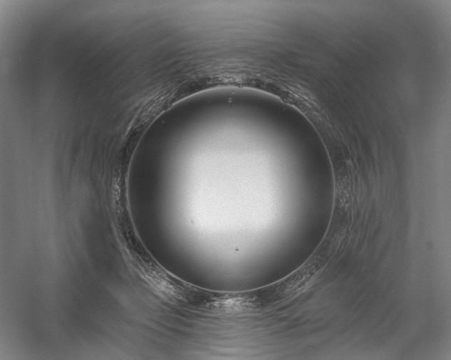 X0000058120365200509231058