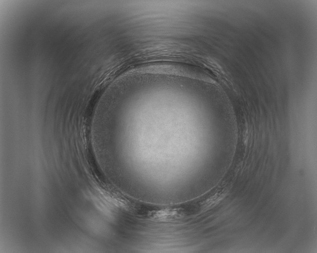 X0000058120366200509231058