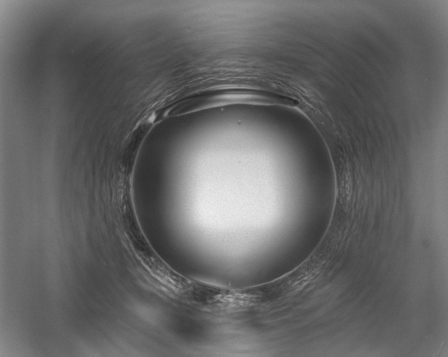 X0000058120367200509231058