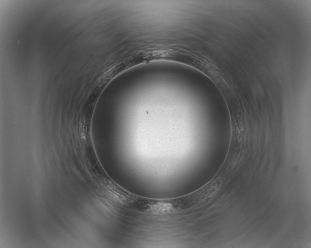 X0000058120374200509231059