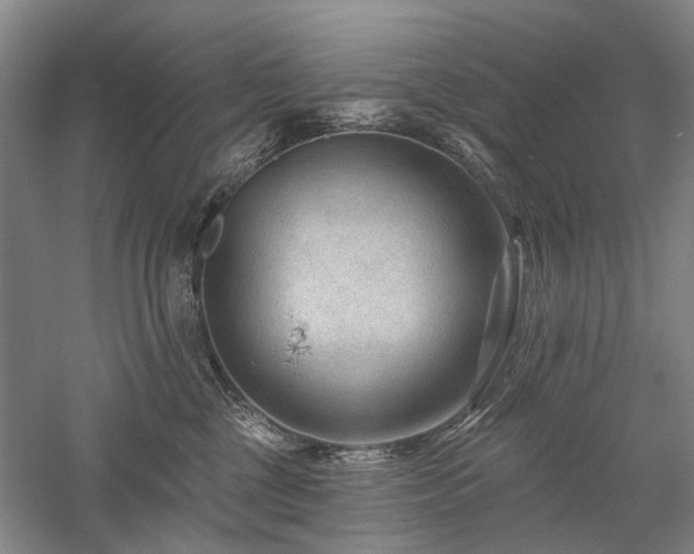 X0000058120377200509231059