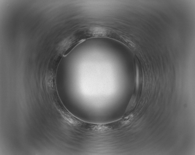 X0000058120379200509231059
