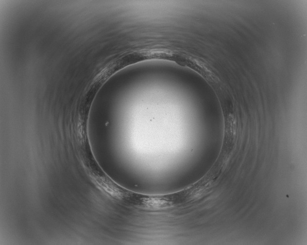 X0000058120380200509231059