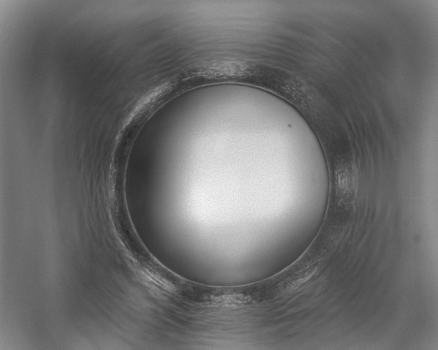 X0000058120396200509231058