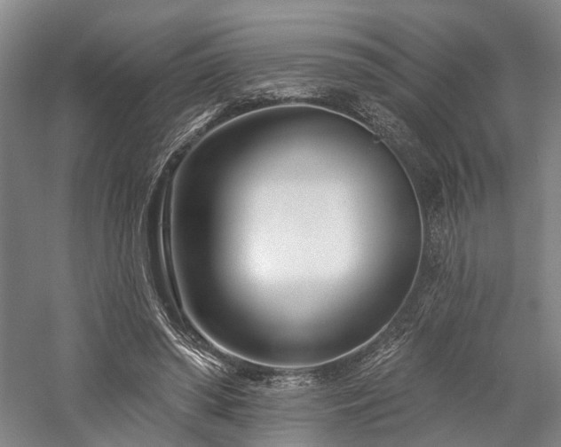 X0000058120398200509231058
