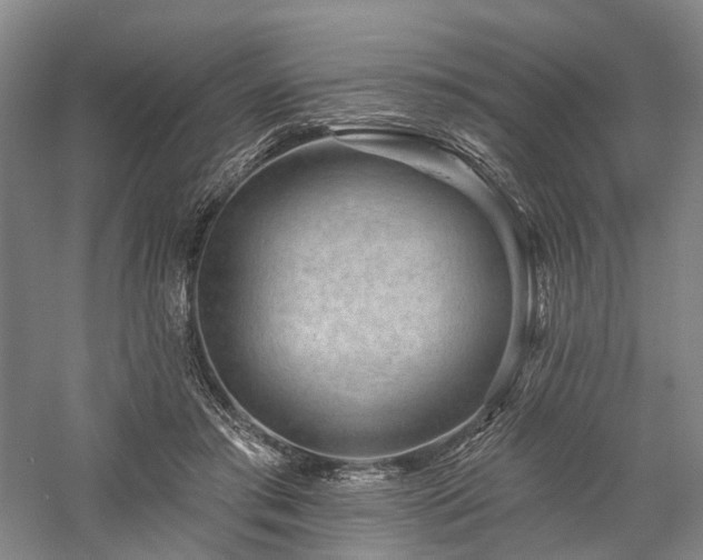 X0000058120405200509231058