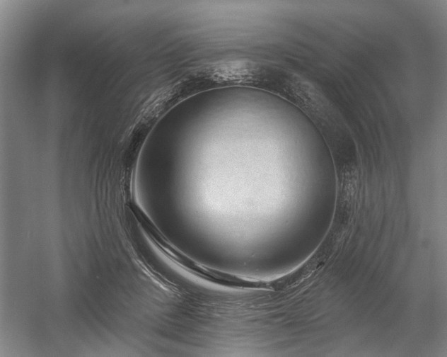 X0000058120408200509231057
