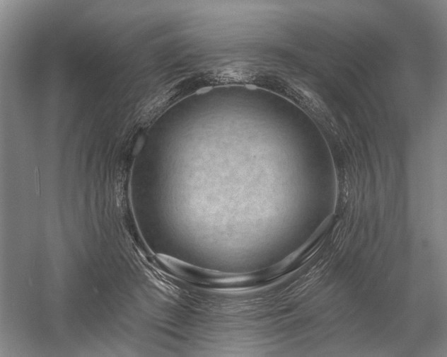 X0000058120409200509231057
