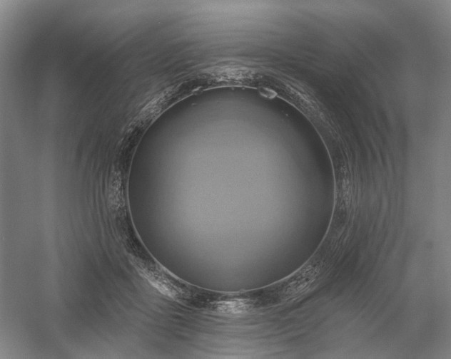 X0000058120411200509231057