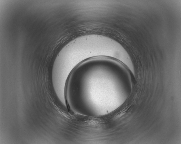 X0000058120412200509231057