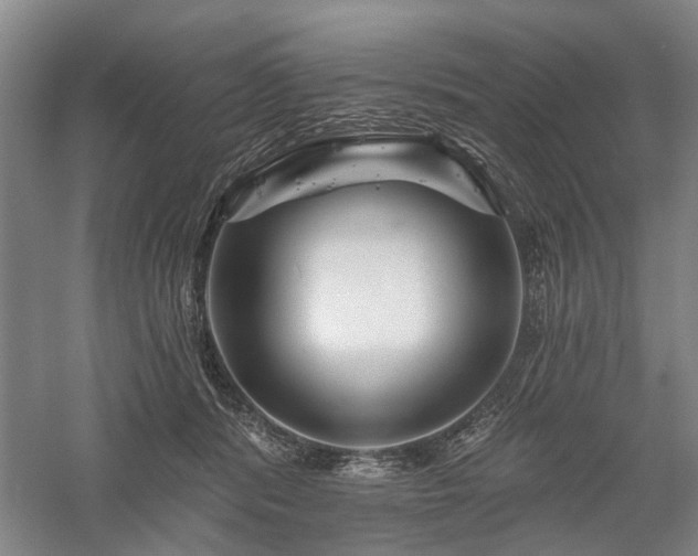 X0000058120416200509231057