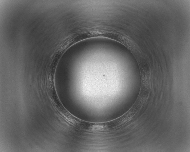X0000058120418200509231057