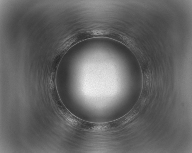 X0000058120422200509231057