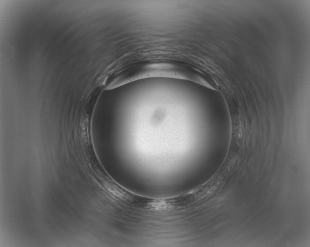 X0000058120425200509231057